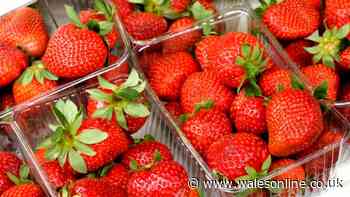 Woman compares Aldi's £1.19 'wonky' strawberries to Tesco and Waitrose and results speak volumes