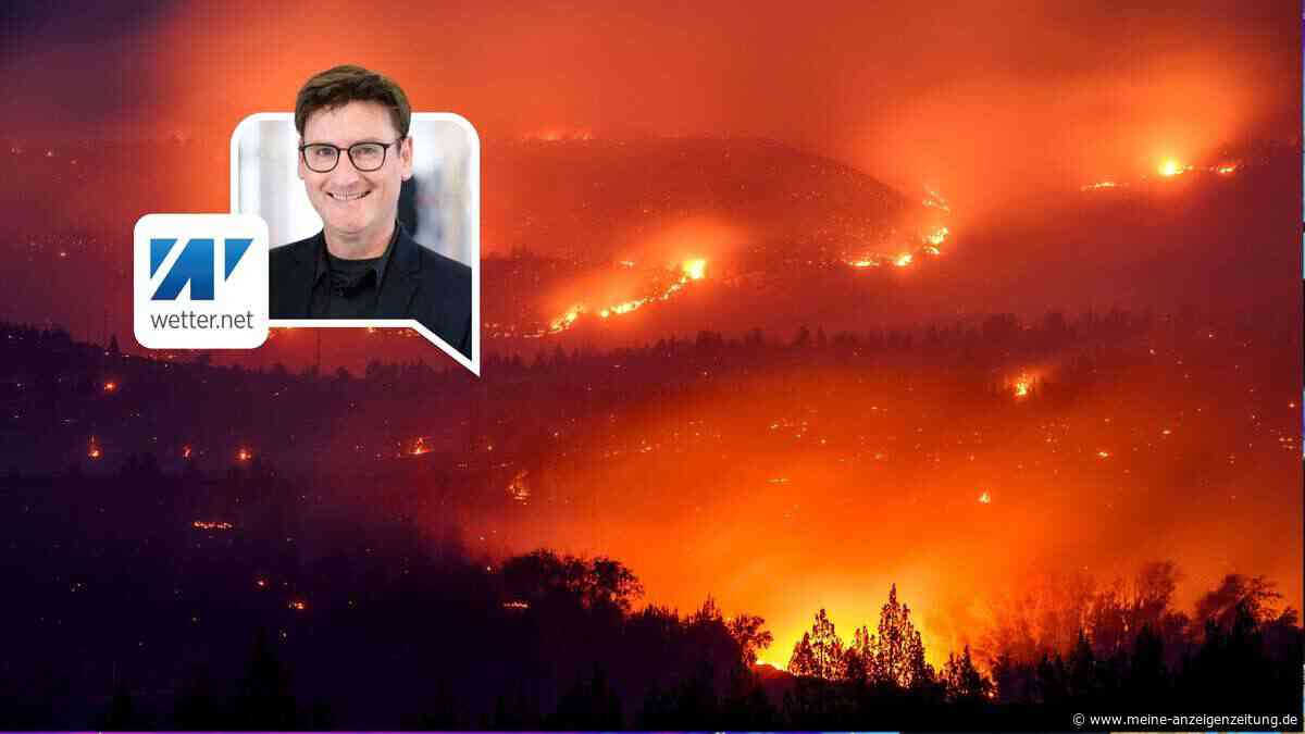 Deutschland wird zum Pulverfass: Kann es bei uns zu Waldbränden kommen?