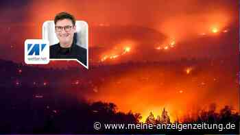 Deutschland wird zum Pulverfass: Kann es bei uns zu Waldbränden kommen?