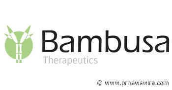 Bambusa Therapeutics Reports Potentially Transformative Preliminary Proof-of-Concept Results for BBT001 in Atopic Dermatitis, Reinforcing Its Best-in-Disease Potential