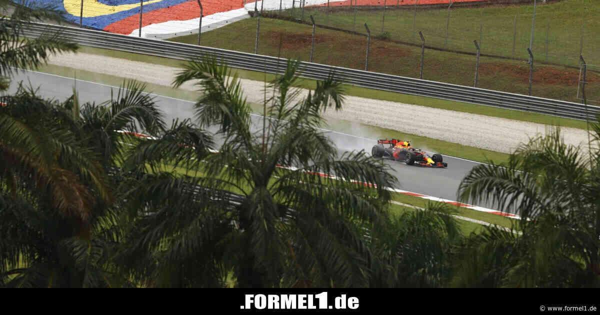 Rückkehr nach Sepang: Martin Brundle lobt Flexibilität der Bosse