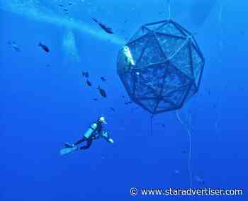 Kona-based company bringing aquaculture to Florida