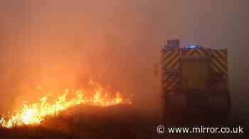 Bordeaux wildfires mapped as blaze threatens to reduce city of 850,000 to ash