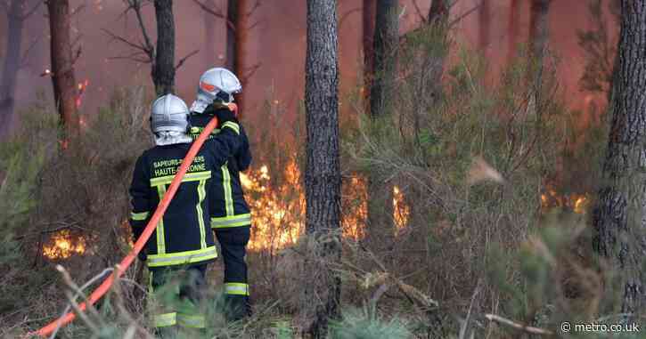 ‘Apocalyptic’ wildfires are now just nine miles from Bordeaux with next 24 hours ‘crucial’