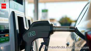 Ethanol-blended petrol rollout: Govt says 'no assessment done' on number of E20-compatible vehicles