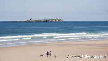 Why Bamburgh keeps being crowned Britain's best seaside spot - with wild dunes, a castle and no crowds