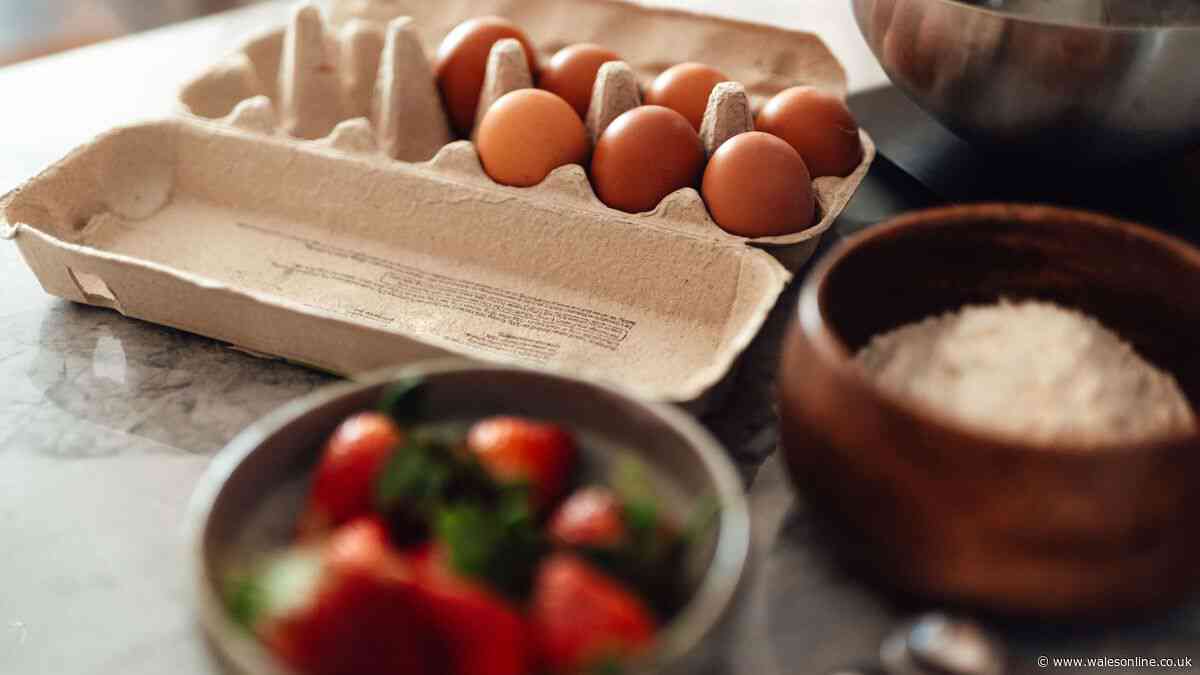 Best place to store eggs so they stay fresh and last longer