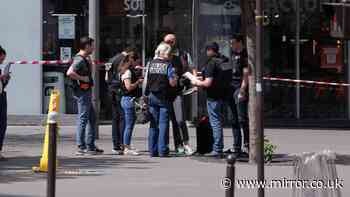 Pregnant woman among three stabbed in terrifying 'random' Paris knife rampage