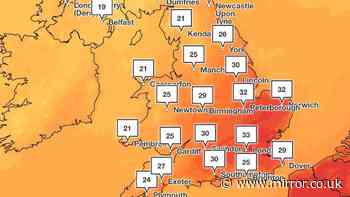 Urgent amber heat health alerts issued for 4 areas with 'rise in deaths' warning