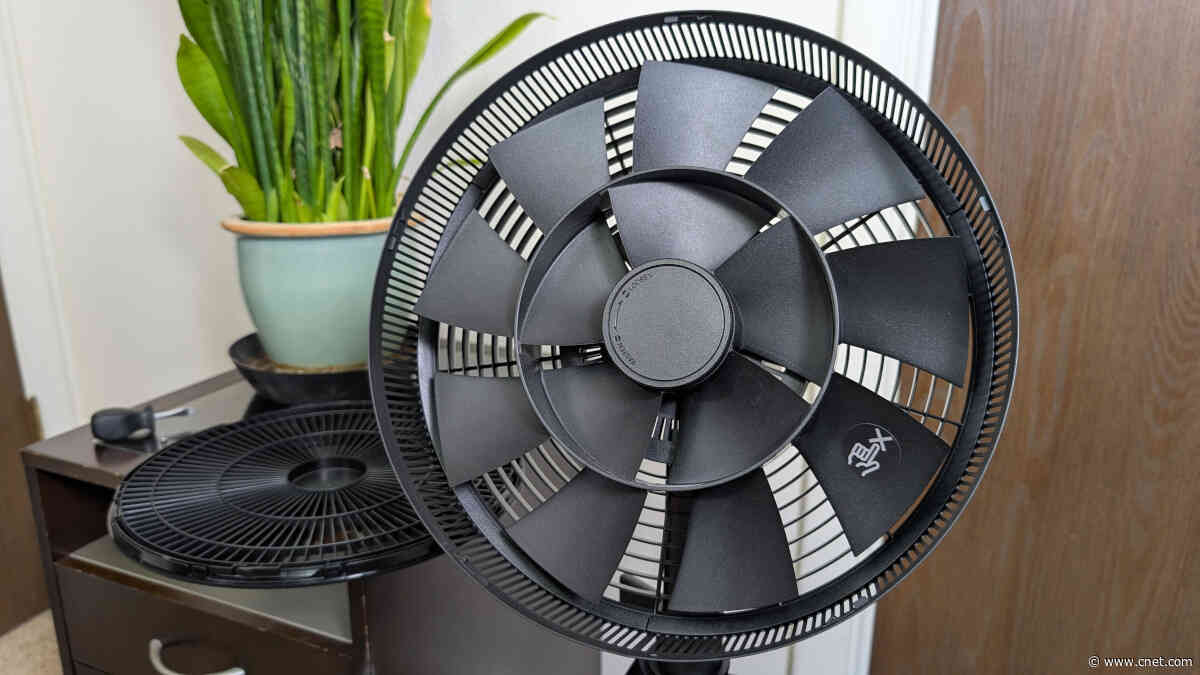Should You Spend $429 on a Fan? Here’s My Take After Testing