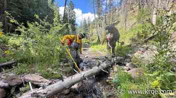 Threatened Gila trout airlifted by New Mexico crews to safeguard rare population