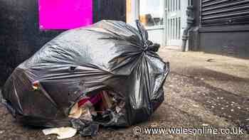 Binman settles debate on putting black bags in the recycling bin