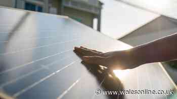 Exact date households could get solar panels from Currys and Asda
