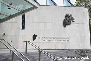 Lack of engagement from IS supporter who stabbed garda ‘disappointing’ – judge