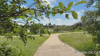 Some Edmontonians raise concerns as city looks to naturalize greenspaces