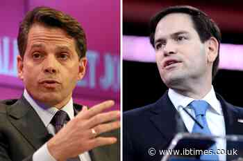 'He Eats His Young': Anthony Scaramucci Warns Marco Rubio to Resign Before Donald Trump Boots Him