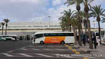 Travellers to Spanish airport on Ryanair, EasyJet or Jet2 told 'bring hand luggage only' as strikes from today