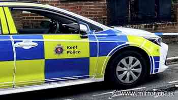 Boy, one, fighting for his life after horror 'fall from window' in Gillingham