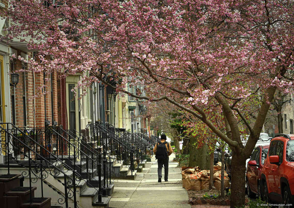 Where do high-income households live?