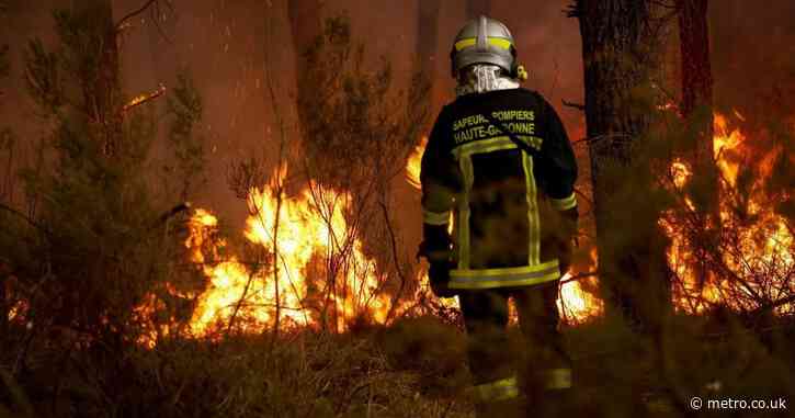 With a fourth heatwave on its way – will the UK see wildfires like those in France?