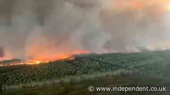 Shocking scale of wildfires near Bordeaux shown in aerial footage