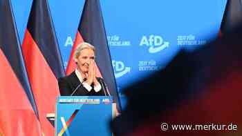 AfD-Booster vor den Landtagswahlen? Partei könnte vom CSD-Anschlag mehrfach profitieren