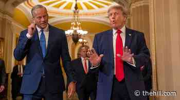 Trump presses Thune to keep Senate in session until SAVE America Act passes