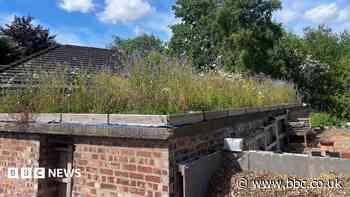 WW2 bunker transformed to help wildlife