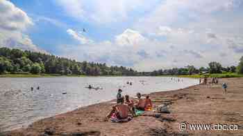 Hamilton Conservation Authority closes Christie Lake beach due to blue-green algae