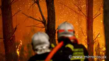 France wildfires live: Inferno threatens Bordeaux as tourists told 'stay away'