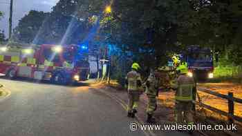 Huge fire at popular Welsh beach