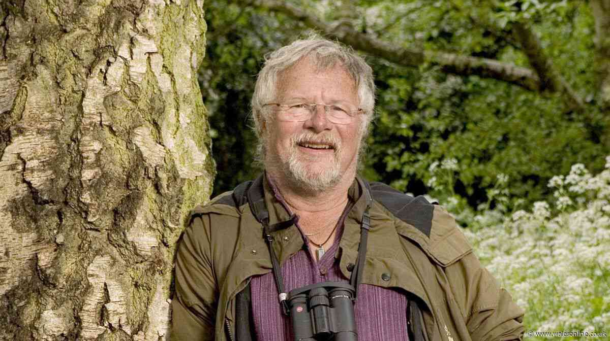 Bill Oddie's three favourite plants to attract birds into UK gardens