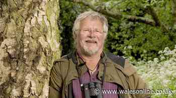Bill Oddie's three favourite plants to attract birds into UK gardens