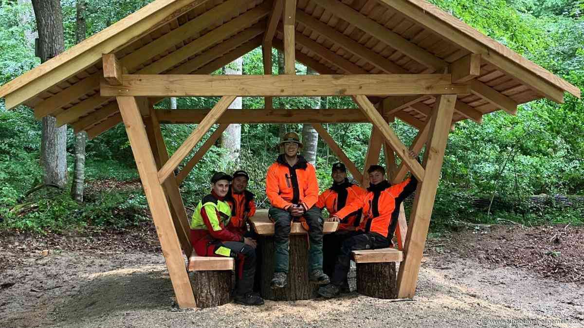Azubis bringen Holz aus dem Wald zurück in den Staatswald – als neue Möbel