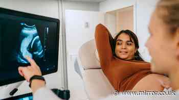 Government prepared to consider major change to pregnancy scans - Monday, July 27 update
