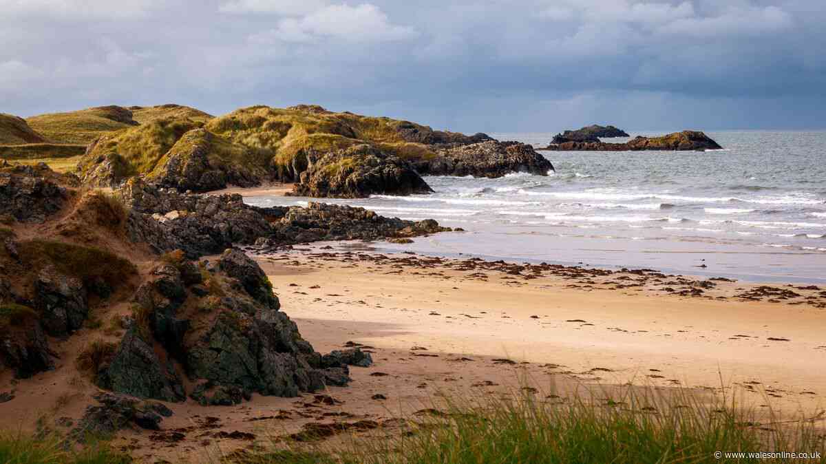People convinced Welsh beach with soft sand and glittering waters is 'heaven on Earth'