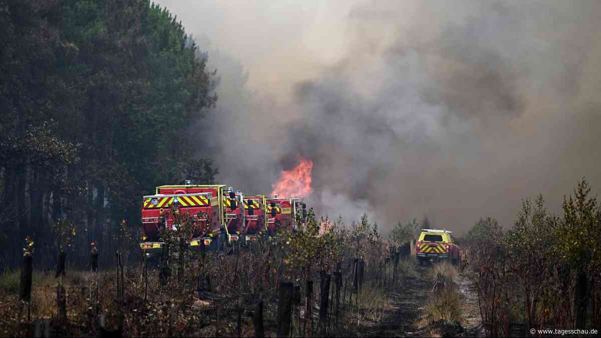 Feuer in Südeuropa: Brände wüten weiter - Sorge vor neuer Hitze