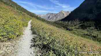 Search underway for missing 81-year-old hiker in Waterton Lakes National Park
