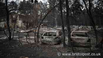 Bristol to Bordeaux flights continue as wildfires force 220,000 from homes in France