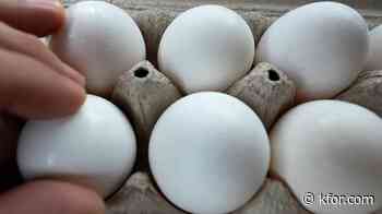 Dozens sickened across 17 states in salmonella outbreak linked to recalled eggs: What to know
