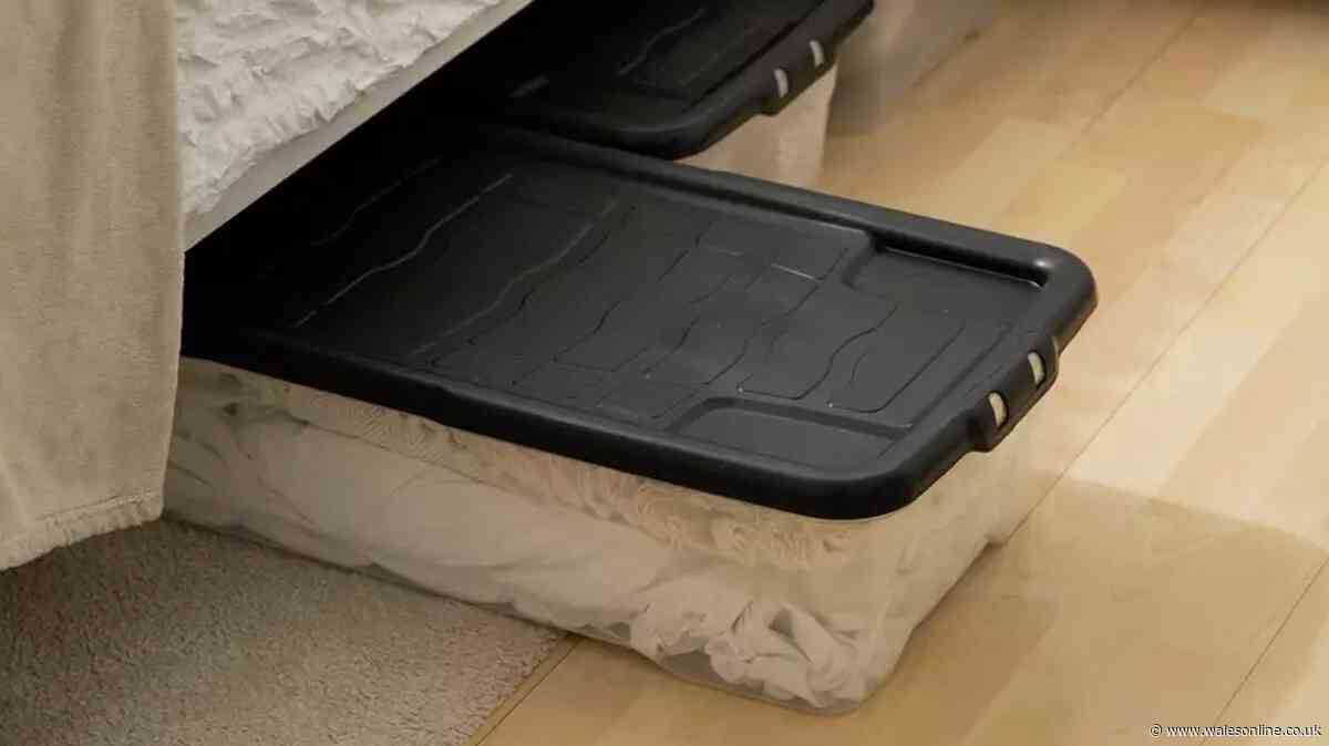 £22 pack of 3 'roomy' underbed storage 'fits so many clothes' now £6 with cashback