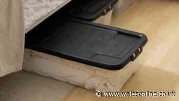 £22 pack of 3 'roomy' underbed storage 'fits so many clothes' now £6 with cashback