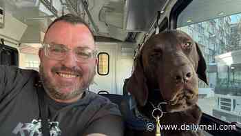 Army vet was badly traumatized by horrors he witnessed during combat in Afghanistan... until he met chocolate Labrador called Eddie who transformed his life