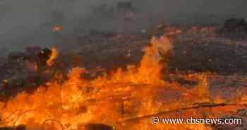 Wildfire forces more than 220,000 to evacuate in France, destroys over 200 homes