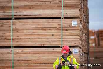 Ottawa lends Millar Western Lumber $100M to cope with tariff impacts