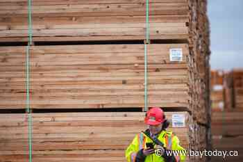 Ottawa lends Millar Western Lumber $100M to cope with tariff impacts