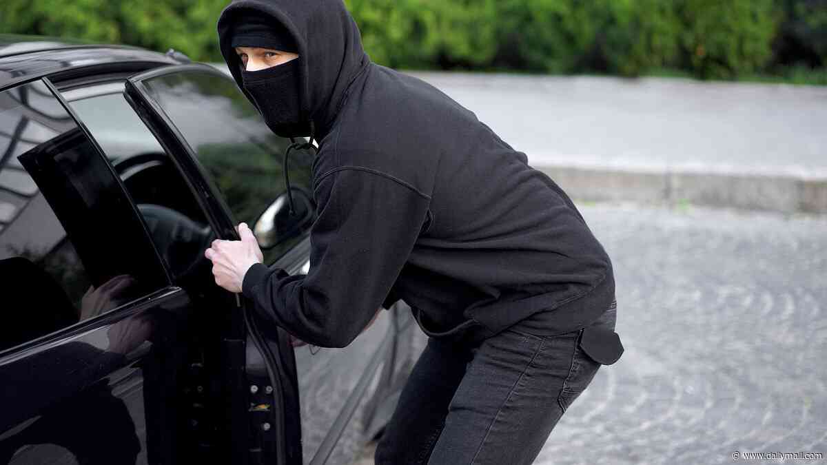 Millions told to check cars NOW over flaw that lets thieves steal vehicles in minutes