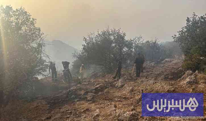 رغم زيادة عدد الحرائق .. مساحات الأضرار تتراجع بـ30% في المغرب