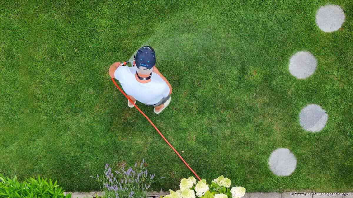 Welche Gartenarbeiten stehen im August an?