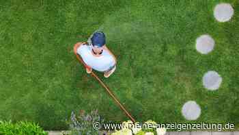 Welche Gartenarbeiten stehen im August an?